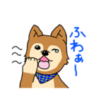 ☆柴犬リクのスタンプ☆（個別スタンプ：9）