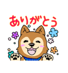 ☆柴犬リクのスタンプ☆（個別スタンプ：13）