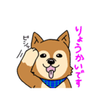 ☆柴犬リクのスタンプ☆（個別スタンプ：14）