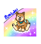 ☆柴犬リクのスタンプ☆（個別スタンプ：18）