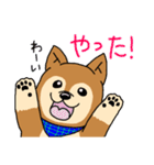 ☆柴犬リクのスタンプ☆（個別スタンプ：19）