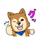 ☆柴犬リクのスタンプ☆（個別スタンプ：20）