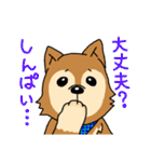 ☆柴犬リクのスタンプ☆（個別スタンプ：21）