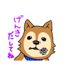 ☆柴犬リクのスタンプ☆（個別スタンプ：22）
