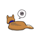 ☆柴犬リクのスタンプ☆（個別スタンプ：24）