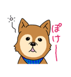 ☆柴犬リクのスタンプ☆（個別スタンプ：25）