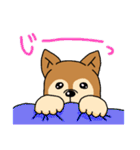 ☆柴犬リクのスタンプ☆（個別スタンプ：29）