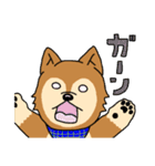 ☆柴犬リクのスタンプ☆（個別スタンプ：31）