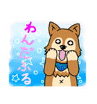 ☆柴犬リクのスタンプ☆（個別スタンプ：32）