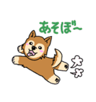 ☆柴犬リクのスタンプ☆（個別スタンプ：33）