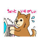 ☆柴犬リクのスタンプ☆（個別スタンプ：35）