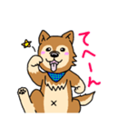 ☆柴犬リクのスタンプ☆（個別スタンプ：36）