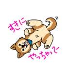 ☆柴犬リクのスタンプ☆（個別スタンプ：39）