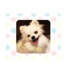 ラブリーエイミー（個別スタンプ：3）