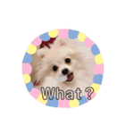 ラブリーエイミー（個別スタンプ：6）