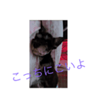 しゅなんぷ（個別スタンプ：3）