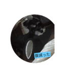 しゅなんぷ（個別スタンプ：6）