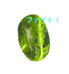 キジトラ猫フクの幸せな日々 part2（個別スタンプ：20）
