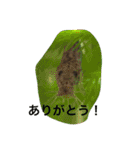 キジトラ猫フクの幸せな日々 part2（個別スタンプ：29）