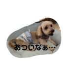 マメ2（個別スタンプ：2）