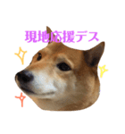 柴犬なな 野球応援（個別スタンプ：3）