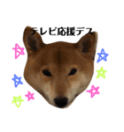 柴犬なな 野球応援（個別スタンプ：4）