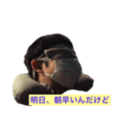 えとぅー（個別スタンプ：2）