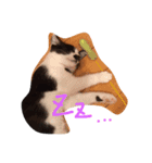 ねこのきもち。。（個別スタンプ：4）
