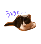 ねこのきもち。。（個別スタンプ：9）