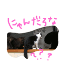 ねこのきもち。。（個別スタンプ：14）