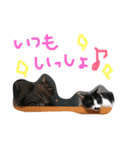 ねこのきもち。。（個別スタンプ：15）