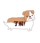 吹き出しわんこ (ふきだし犬）（個別スタンプ：11）