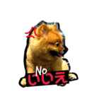 シュマイ（個別スタンプ：8）