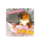シュマイ（個別スタンプ：10）