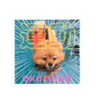 シュマイ（個別スタンプ：13）