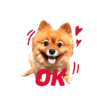 シュマイ（個別スタンプ：18）