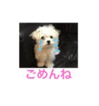 もふのヒトコト（個別スタンプ：7）