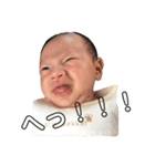 そうちゃん写真（個別スタンプ：7）