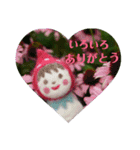 hanachanスタンプ 2（個別スタンプ：5）