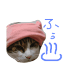 ネコちゃん心の気持ち（個別スタンプ：3）