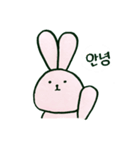 毎日韓国ウサギ（個別スタンプ：1）