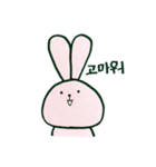 毎日韓国ウサギ（個別スタンプ：2）