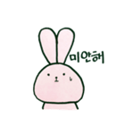 毎日韓国ウサギ（個別スタンプ：3）