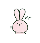 毎日韓国ウサギ（個別スタンプ：4）