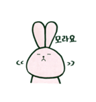 毎日韓国ウサギ（個別スタンプ：7）