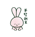 毎日韓国ウサギ（個別スタンプ：14）