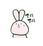 毎日韓国ウサギ（個別スタンプ：19）