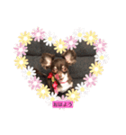 るぅ205（個別スタンプ：3）