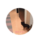 るぅ205（個別スタンプ：5）