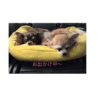 るぅ205（個別スタンプ：7）
